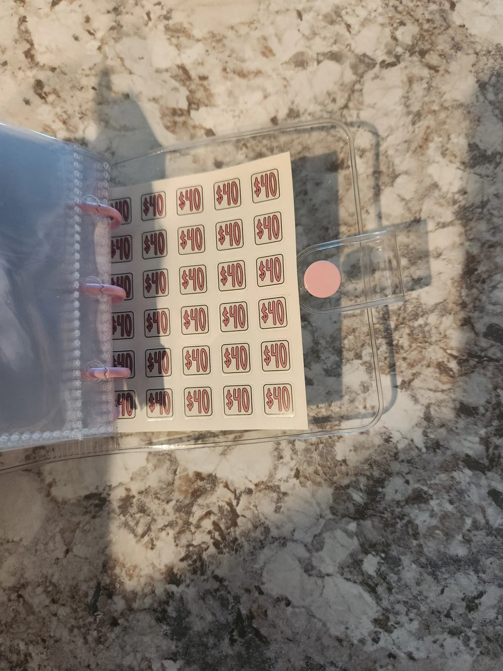 $1000 Savings Challenge Clear Binder with Pink Accents